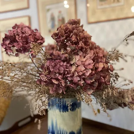 Zuhalmendi Casa de Férias Sare